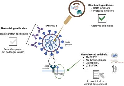 Frontiers | Therapeutic Developments For SARS-CoV-2 Infection—Molecular ...